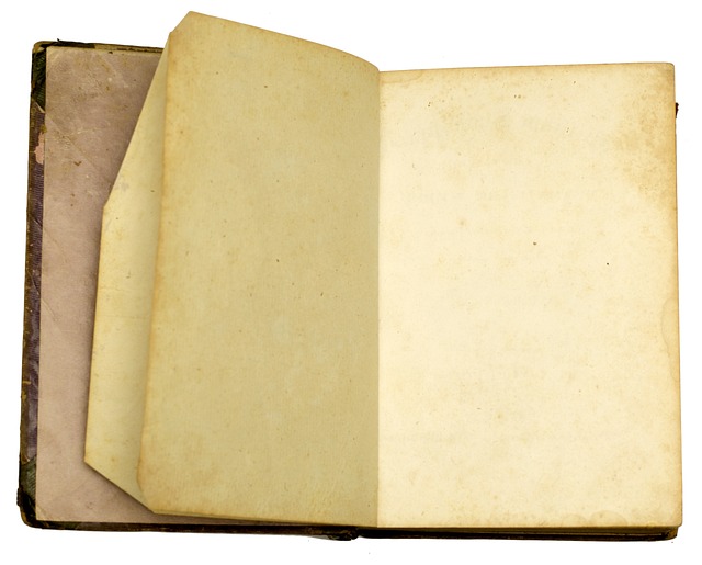 přepisování historie