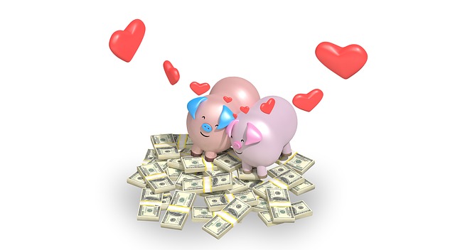 prasátka na penězích