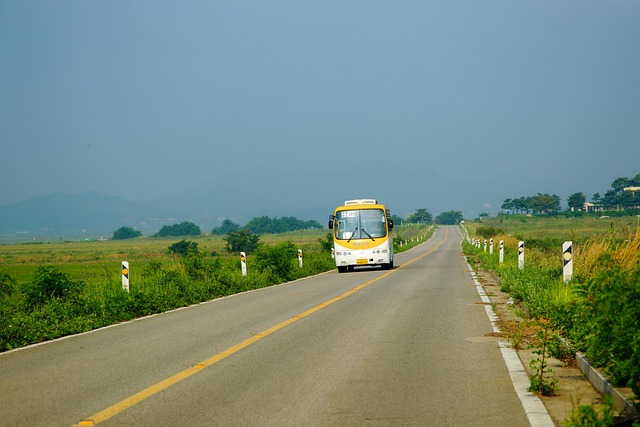 cestování autobusem