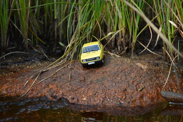 auto Škoda